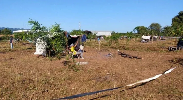 finca salvador mazza desalojo usurpación